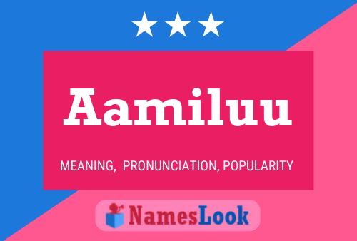 Aamiluu Namensposter