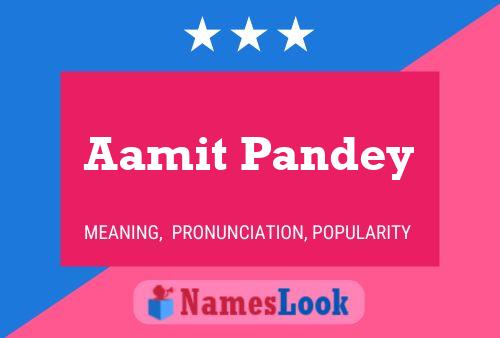 Aamit Pandey Namensposter