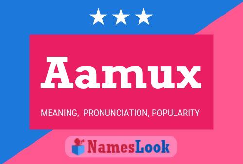 Aamux Namensposter