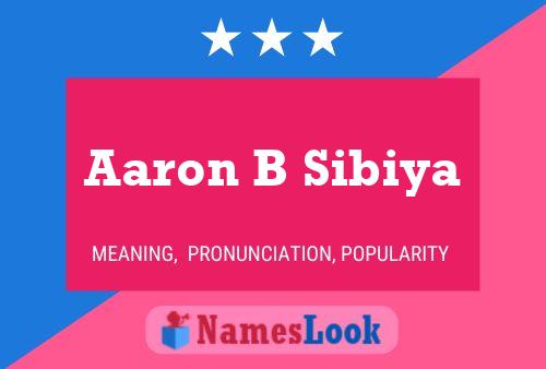 Aaron B Sibiya Namensposter