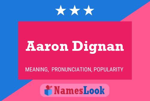 Aaron Dignan Namensposter