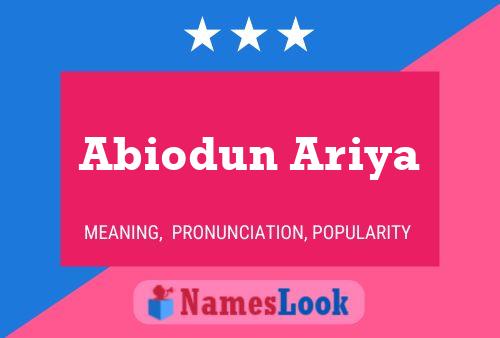 Abiodun Ariya Namensposter