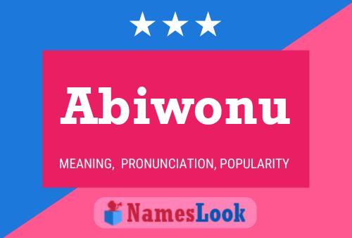 Abiwonu Namensposter