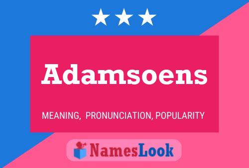 Adamsoens Namensposter