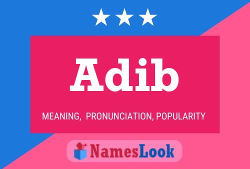 Adib Namensposter