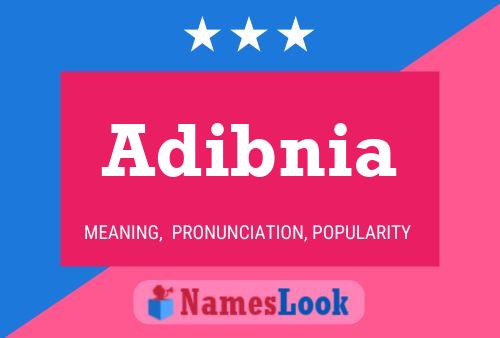 Adibnia Namensposter