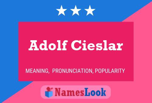 Adolf Cieslar Namensposter