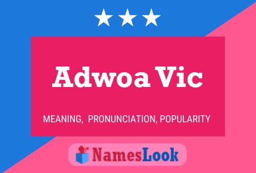 Adwoa Vic Namensposter