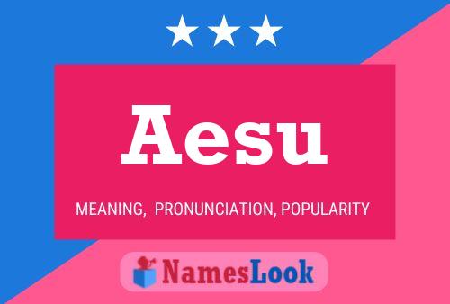 Aesu Namensposter