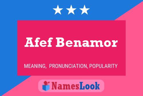 Afef Benamor Namensposter