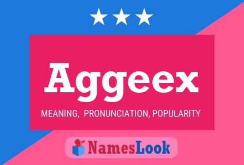 Aggeex Namensposter