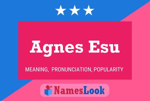 Agnes Esu Namensposter