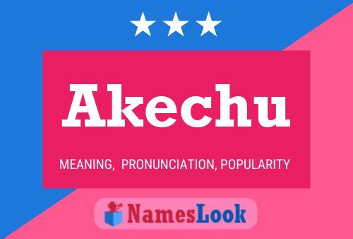 Akechu Namensposter