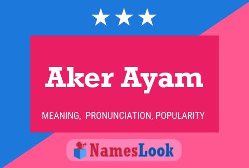 Aker Ayam Namensposter