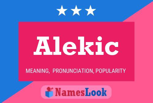 Alekic Namensposter