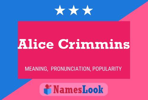 Alice Crimmins Namensposter