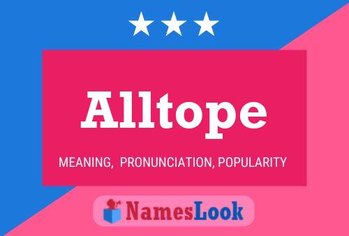 Alltope Namensposter