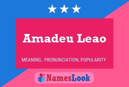 Amadeu Leao Namensposter