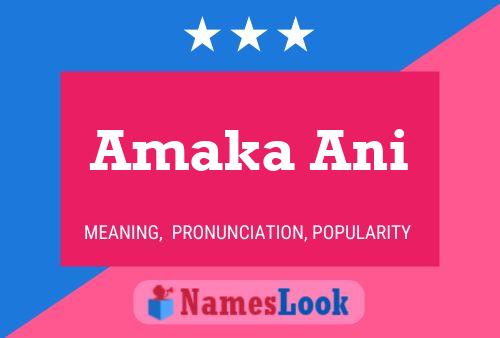 Amaka Ani Namensposter