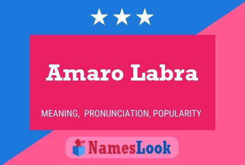 Amaro Labra Namensposter