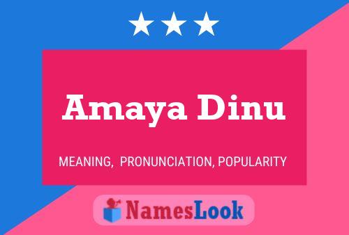 Amaya Dinu Namensposter