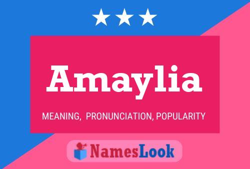 Amaylia Namensposter