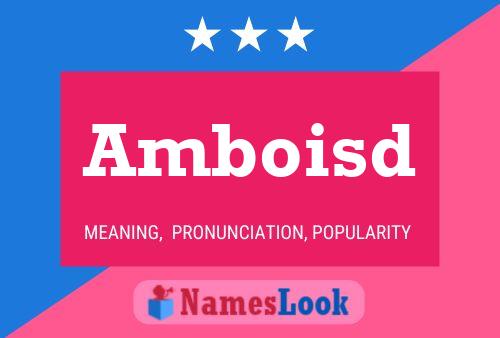 Amboisd Namensposter