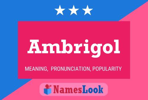 Ambrigol Namensposter