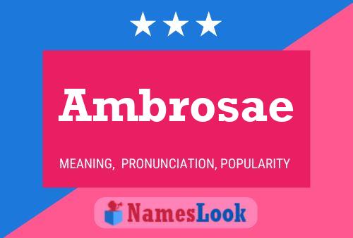 Ambrosae Namensposter