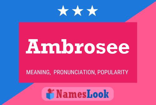 Ambrosee Namensposter