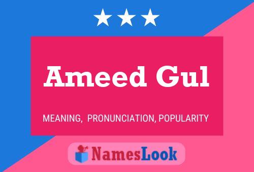 Ameed Gul Namensposter