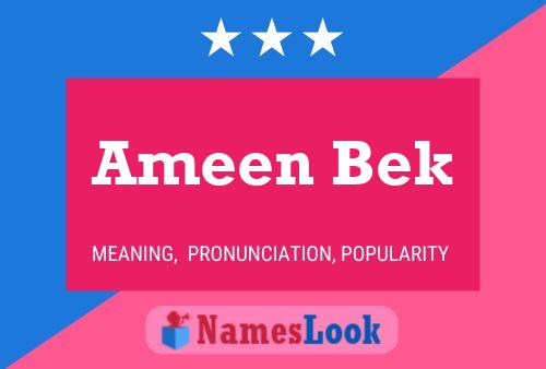 Ameen Bek Namensposter