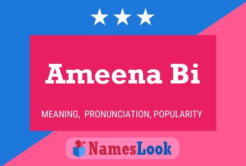 Ameena Bi Namensposter