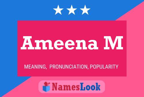 Ameena M Namensposter