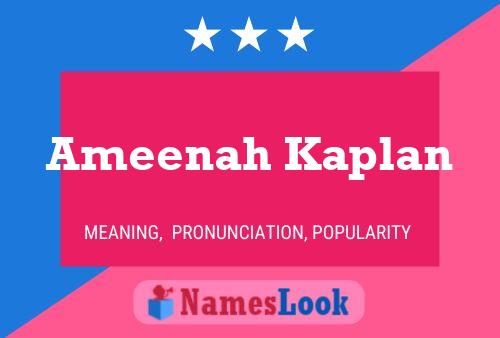 Ameenah Kaplan Namensposter