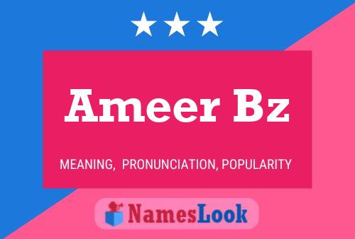 Ameer Bz Namensposter