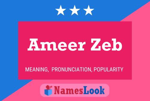 Ameer Zeb Namensposter