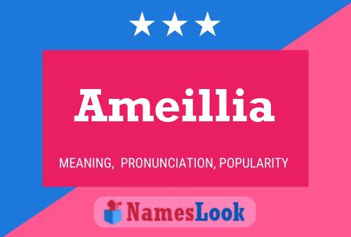 Ameillia Namensposter