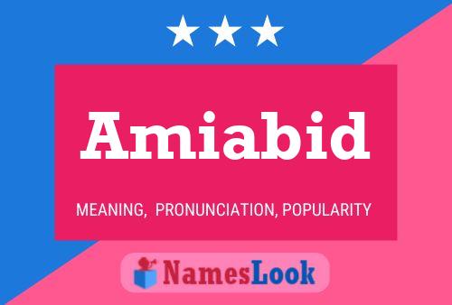 Amiabid Namensposter