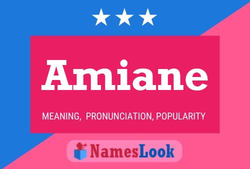 Amiane Namensposter