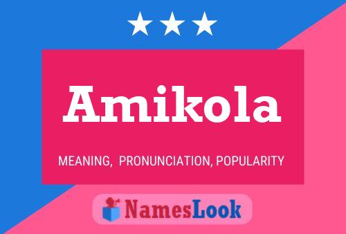 Amikola Namensposter