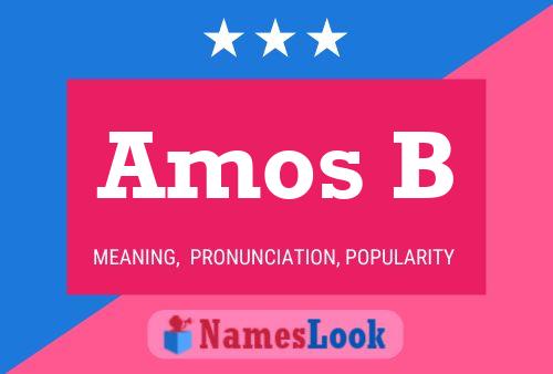 Amos B Namensposter