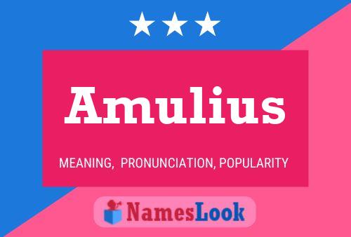 Amulius Namensposter