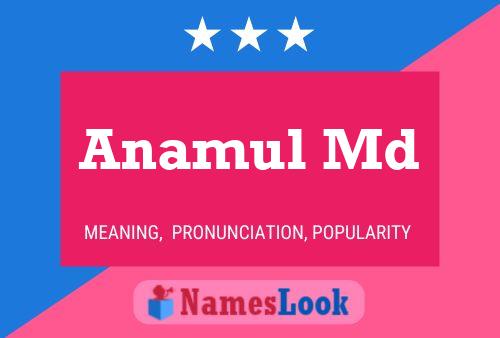 Anamul Md Namensposter