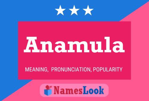 Anamula Namensposter