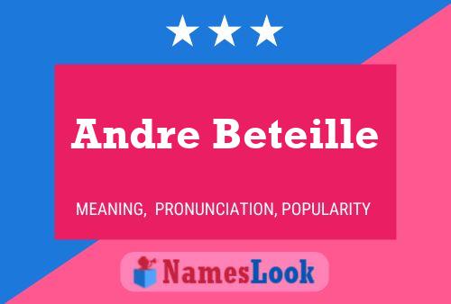 Andre Beteille Namensposter