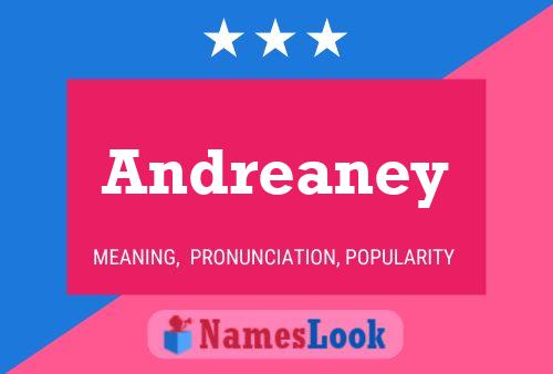 Andreaney Namensposter