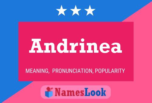 Andrinea Namensposter