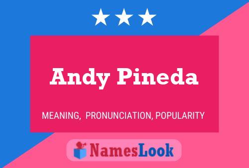 Andy Pineda Namensposter