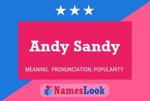 Andy Sandy Namensposter